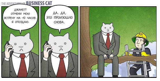 Приключения бизнес-кота, босс кот, Том фондер, Tom Fonder