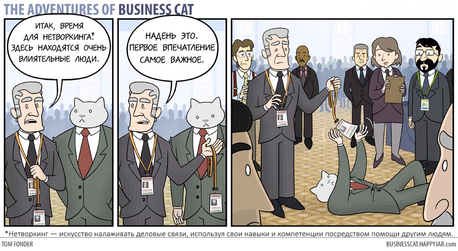 Приключения бизнес-кота, босс кот, Том фондер, Tom Fonder