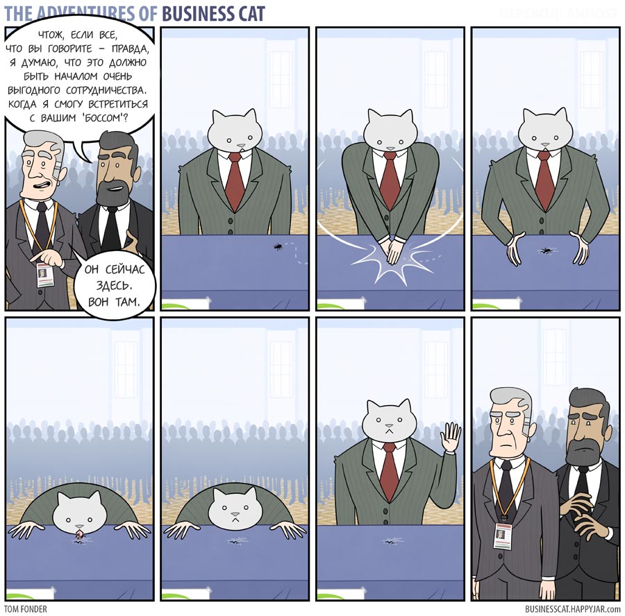 Приключения бизнес-кота, босс кот, Том фондер, Tom Fonder