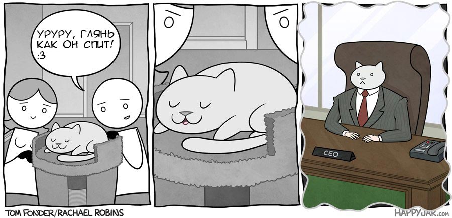 Приключения бизнес-кота, босс кот, Том фондер, Tom Fonder