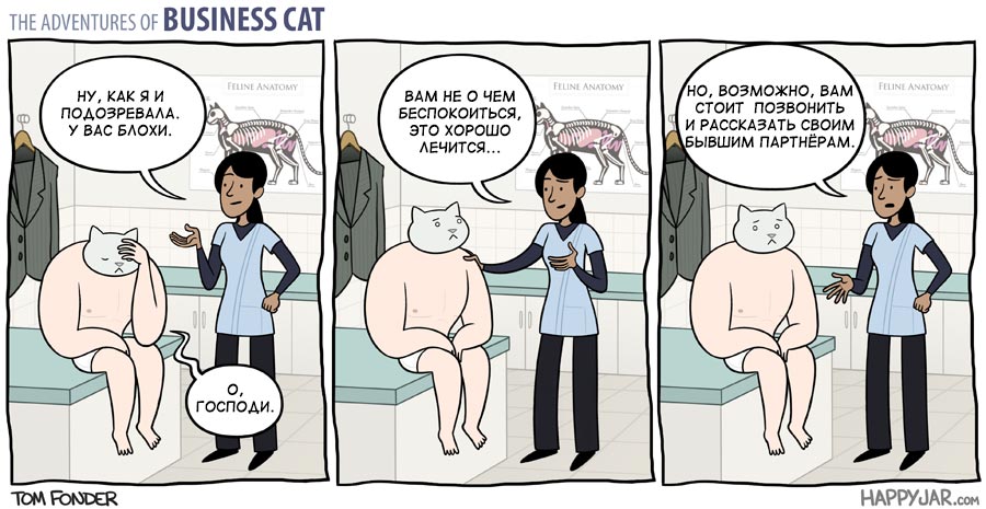 Приключения бизнес-кота, босс кот, Том фондер, Tom Fonder