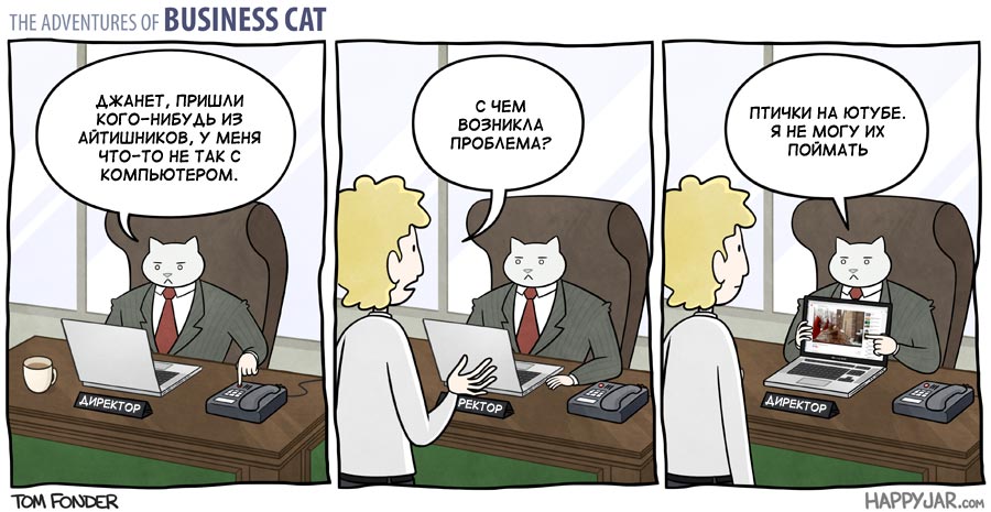 Приключения бизнес-кота, босс кот, Том фондер, Tom Fonder