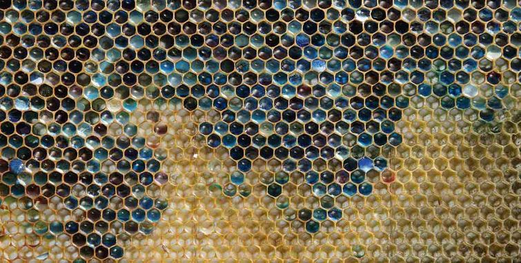 познавательные факты, спорим вы не знали