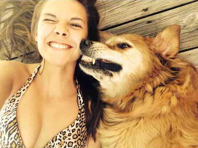 животные не знают что такое личное пространство, животные нарушающие личное пространство, животные залазят на других, животные сидят на других животных