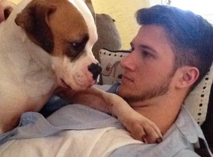 животные не знают что такое личное пространство, животные нарушающие личное пространство, животные залазят на других, животные сидят на других животных