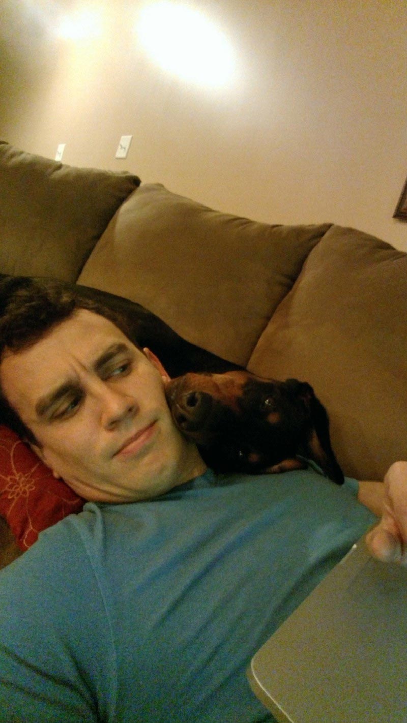 животные не знают что такое личное пространство, животные нарушающие личное пространство, животные залазят на других, животные сидят на других животных