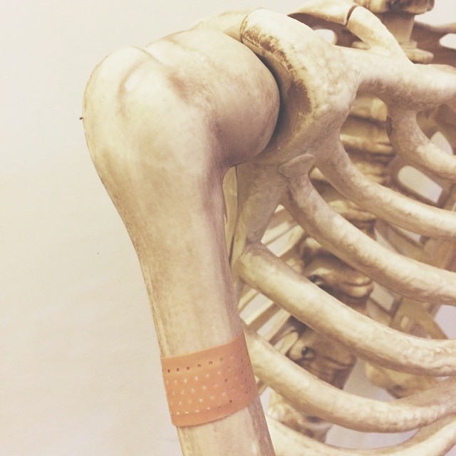 Скелет среднестатистическая девушка из Instagram, Скелет Skellie