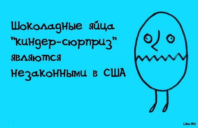 факты в картинках, факты обо всём