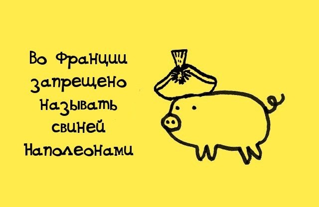 Интересные факты обо всем в картинках с надписями