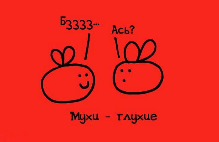 факты в картинках, факты обо всём