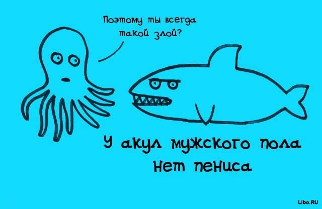 факты в картинках, факты обо всём