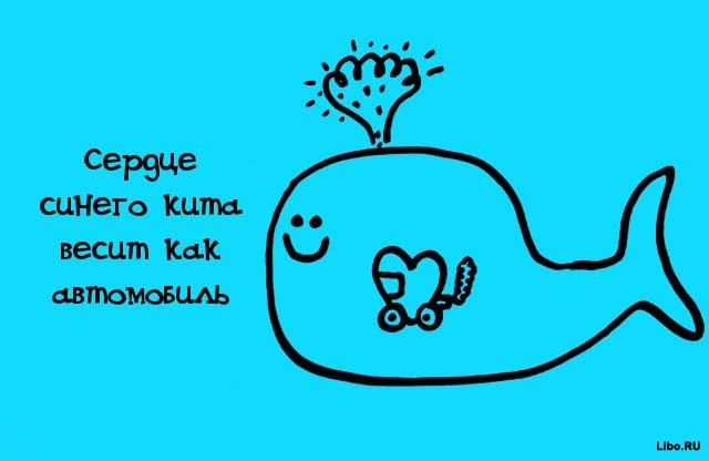 Факты в картинках