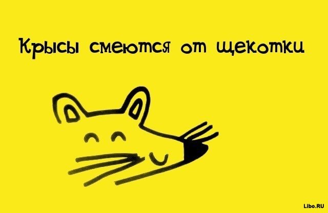 факты в картинках, факты обо всём