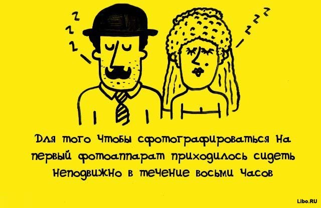 факты в картинках, факты обо всём