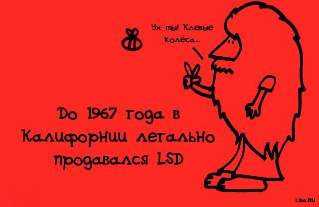 факты в картинках, факты обо всём