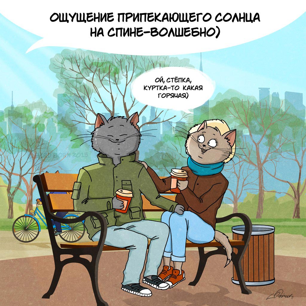 весне дорогу, коты Bird Born, Bird Born