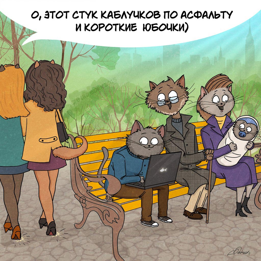 весне дорогу, коты Bird Born, Bird Born