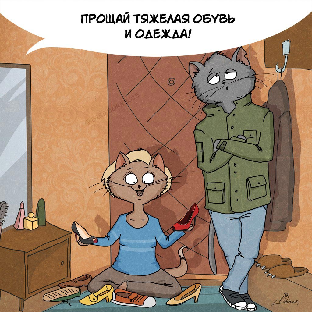 весне дорогу, коты Bird Born, Bird Born