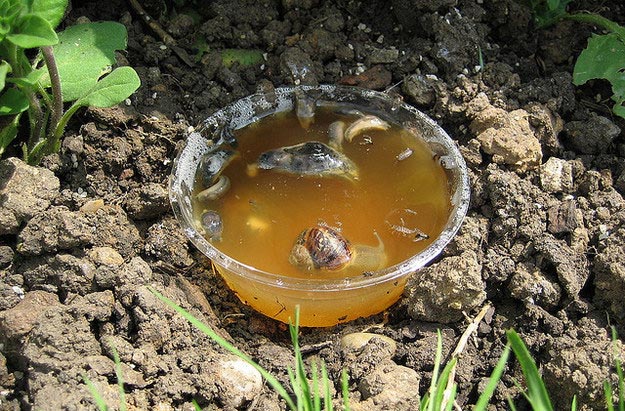 20 дешевых и простых хитростей, которые должен знать каждый садовод идеи для дачи, дача лайфхаки, хитрости для дачи