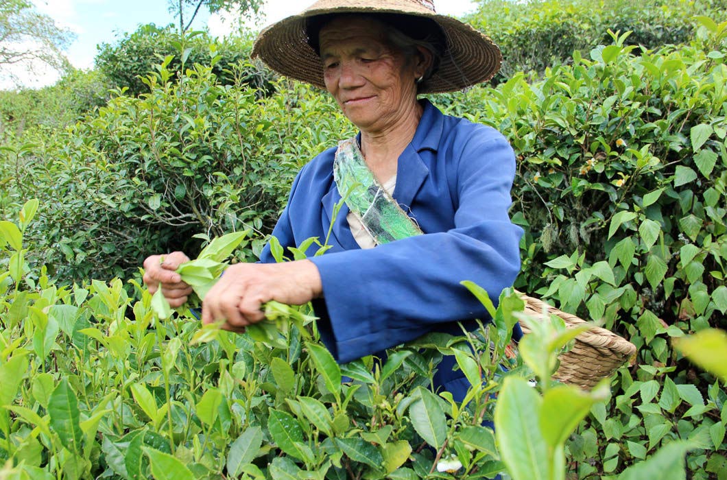 китайцы о россии и русских, иностранцы о россии