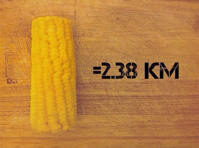 сколько километров нужно пробежать чтобы сжечь шоколадку, run russia