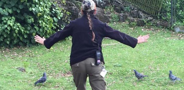 сцена укрощения рапторов Мир юрского периода, пародии на сцену укрощения рапторов, пародия мир юрского периода, пародия крис прэтт