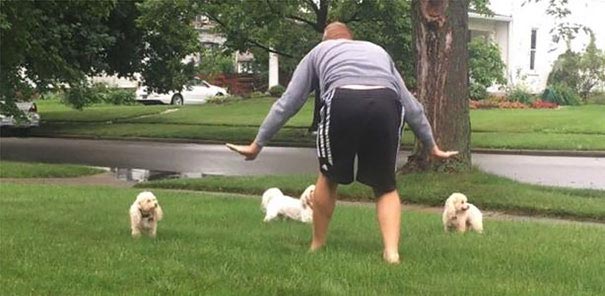 сцена укрощения рапторов Мир юрского периода, пародии на сцену укрощения рапторов, пародия мир юрского периода, пародия крис прэтт