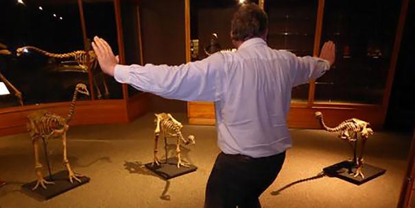 сцена укрощения рапторов Мир юрского периода, пародии на сцену укрощения рапторов, пародия мир юрского периода, пародия крис прэтт