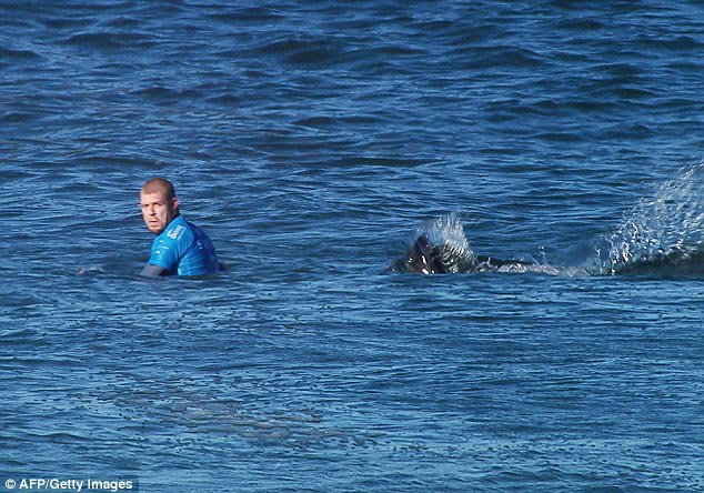 акула напала на сёрфера в прямом эфире, акула напала на сёрфера, Мик Фэннинг, Mick Fanning, акула напала J-Bay 2015