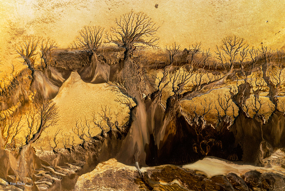 Лучший фотограф дикой природы 2015