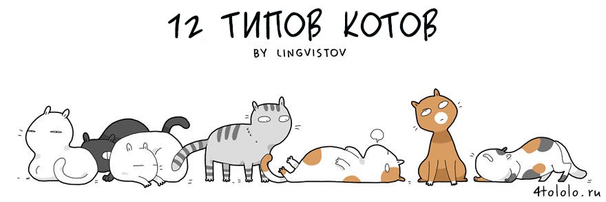 12 типов котов, типы котов, типы кошек