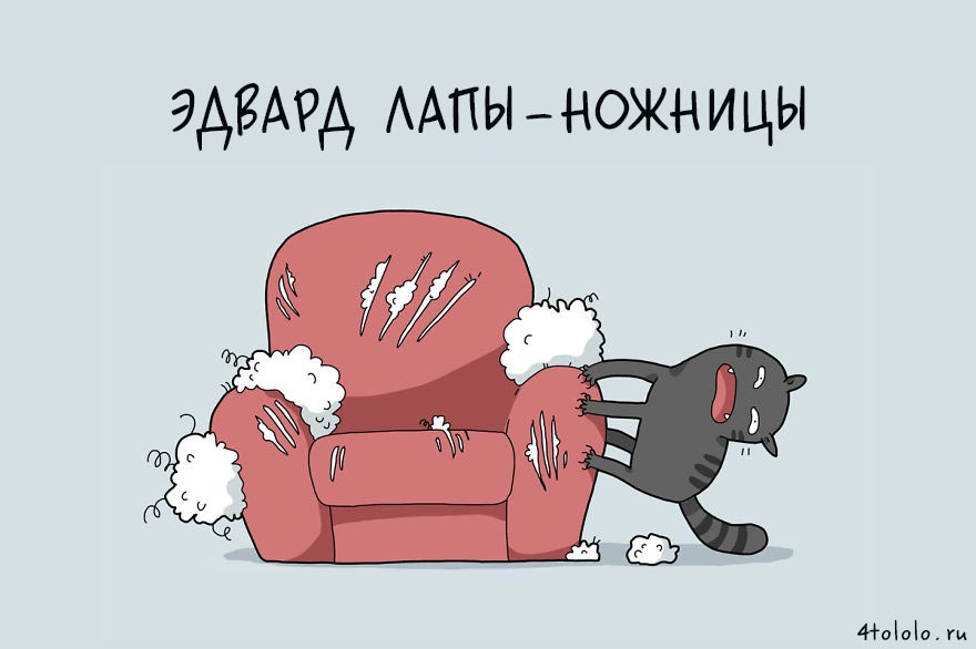 12 типов котов, типы котов, типы кошек