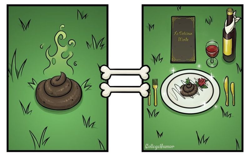 Как выглядит мир глазами собаки, мир глазами собаки