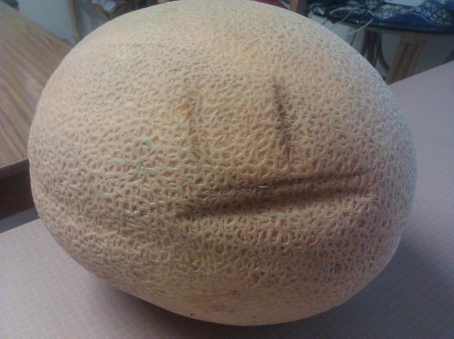 продукты знают боль и страх, продукты знают твою боль, продукты, которые знаю что такое страх