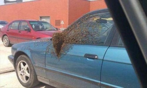 смешные неудачи, смешные провалы, неудачи людей