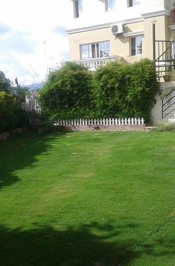 квартиры мира можно снять за 1500 долларов, квартиры которые можно снять за $ 1500