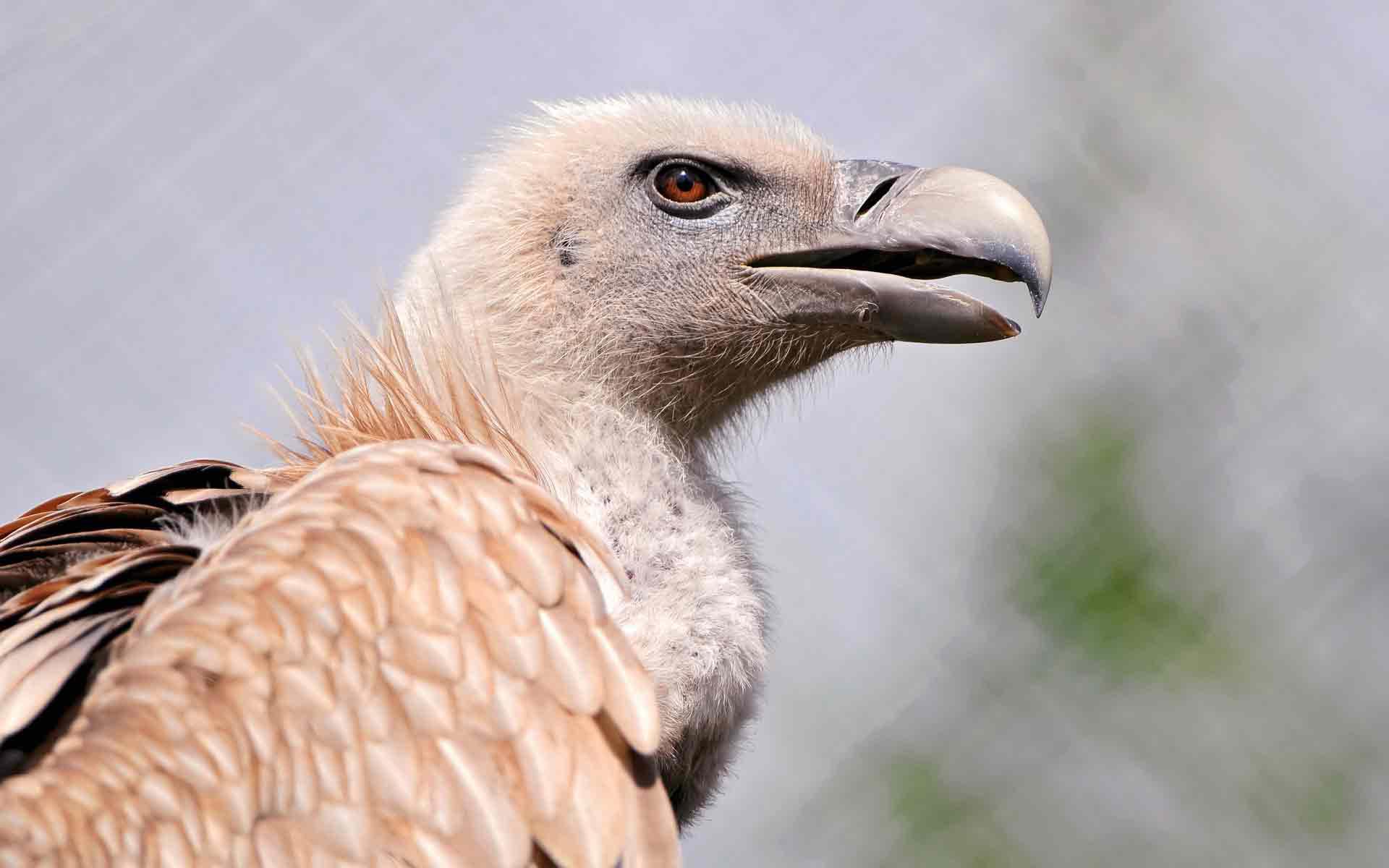 познавательные факты, спорим вы не знали