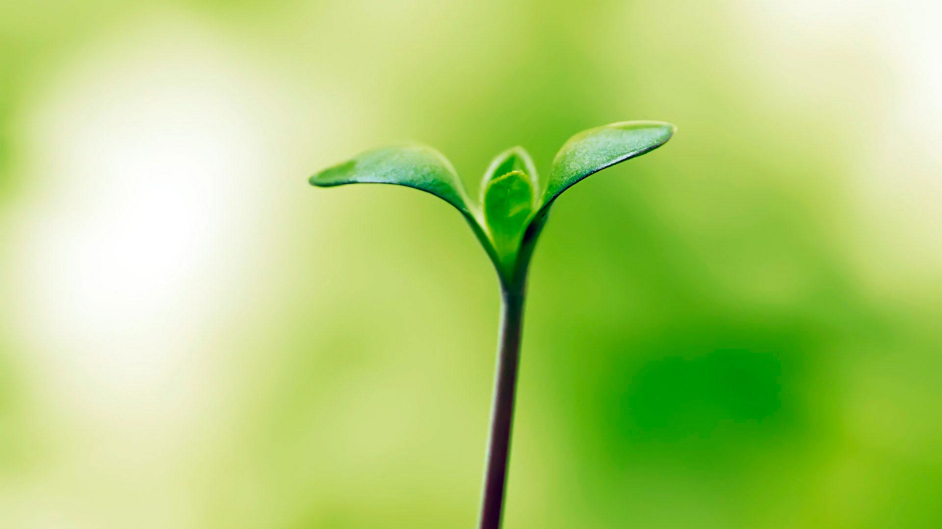 позитивные факты, позитивная статистика