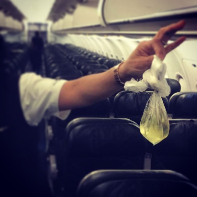 жуткие пассажира самолёта, Passenger shaming