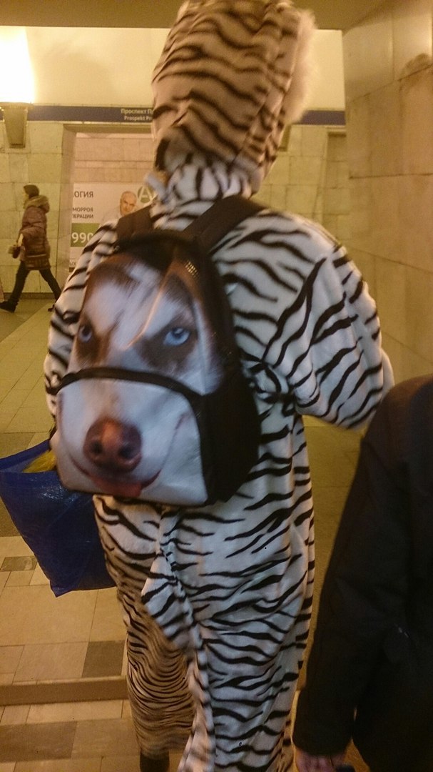 мода петербургского метро, мода метро, модники в транспорте, странные пассажиры метро 