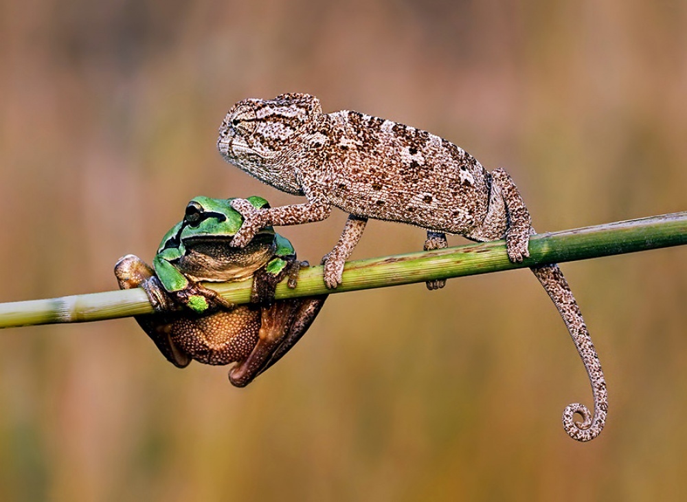 без фотошопа, снимки сделанные без использования фотошопа