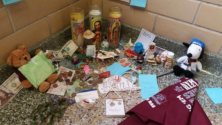 мемориал мертвому таракану, студенты устроили мемориал мертвому таракану, таракан Рози