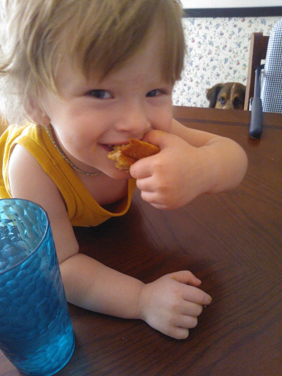 питомец задумал нехорошее, кошка хочет меня убить, питомец хочет меня убить, животные хотят убить своих хозяев