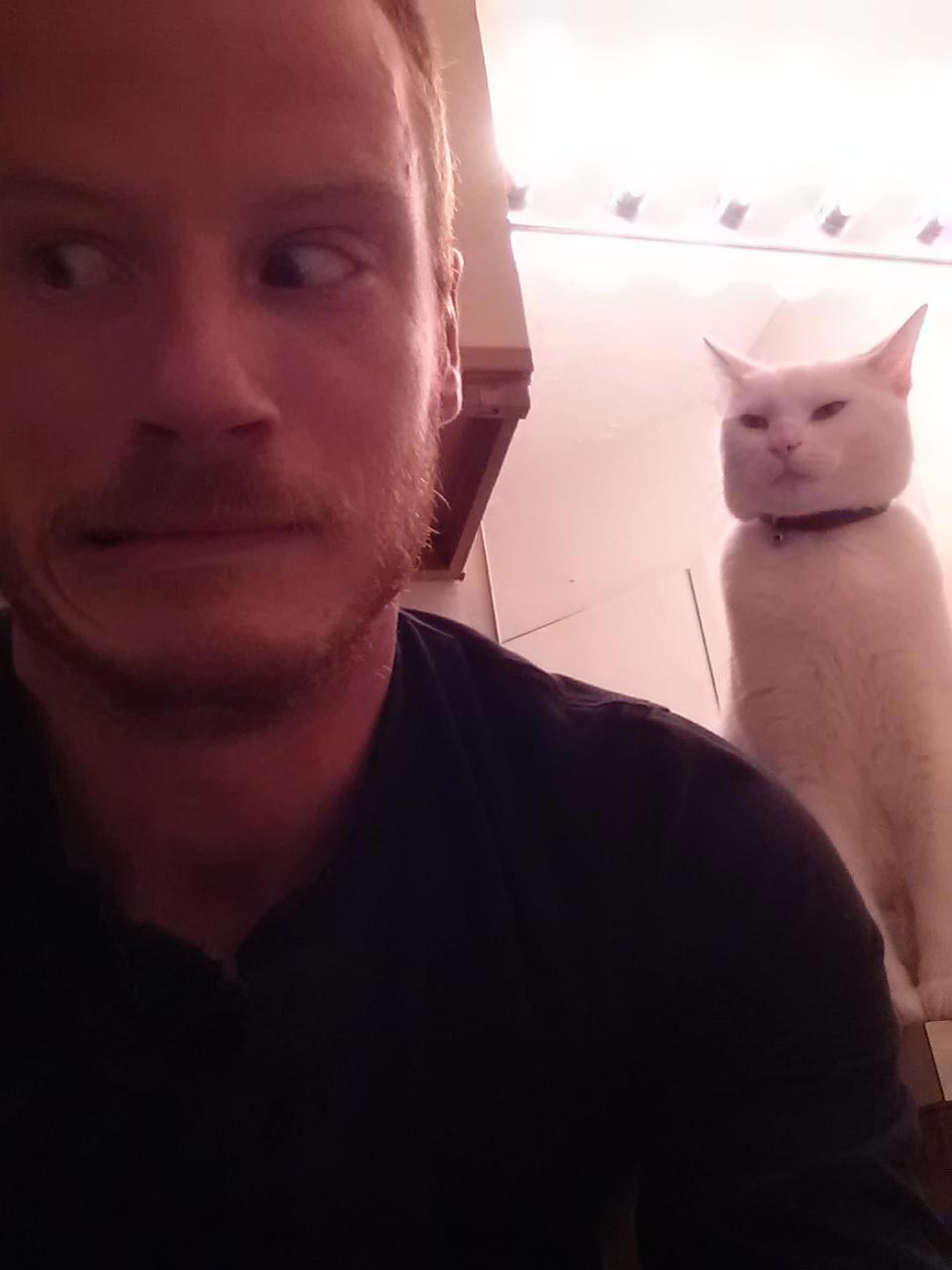 питомец задумал нехорошее, кошка хочет меня убить, питомец хочет меня убить, животные хотят убить своих хозяев