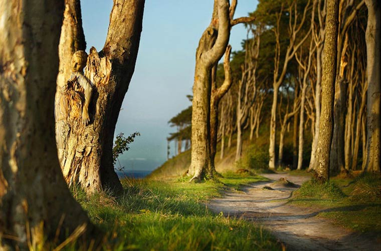 маскировка боди-арт, боди-маскировка, модели замаскированные под природу