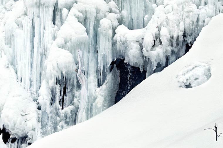 маскировка боди-арт, боди-маскировка, модели замаскированные под природу