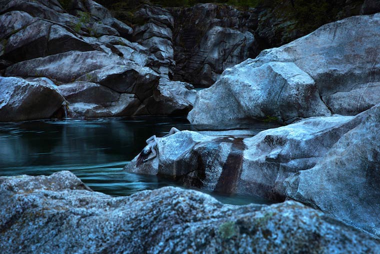 маскировка боди-арт, боди-маскировка, модели замаскированные под природу