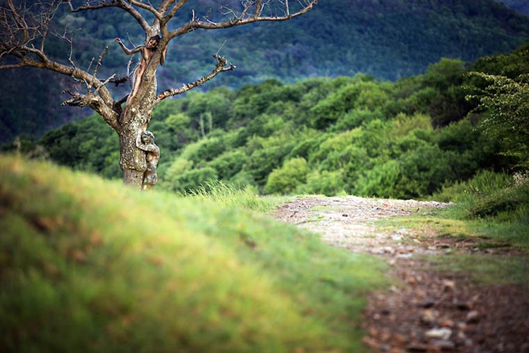 маскировка боди-арт, боди-маскировка, модели замаскированные под природу