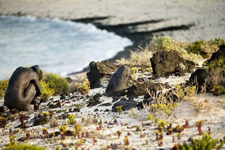маскировка боди-арт, боди-маскировка, модели замаскированные под природу