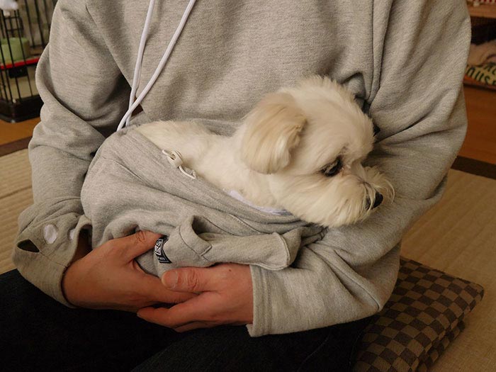 Толстовка с карманом для кошки, Mewgaroo, Unihabitat